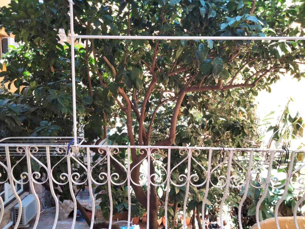 דניה Estudio Castillo מראה חיצוני תמונה